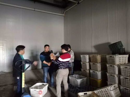 ?？谑乘幈O局靠前服務 以專業指導賦能合作社農產品深加工廠建設